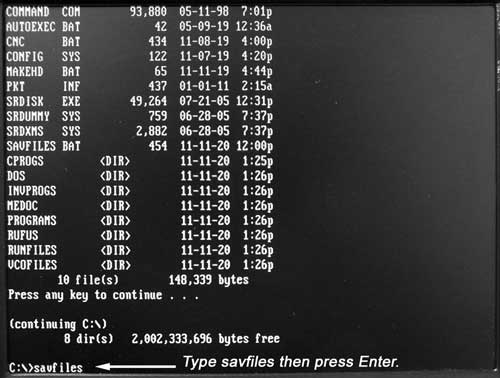 Image of SAVFILES DOS Command
